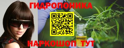 крисы Нальчик