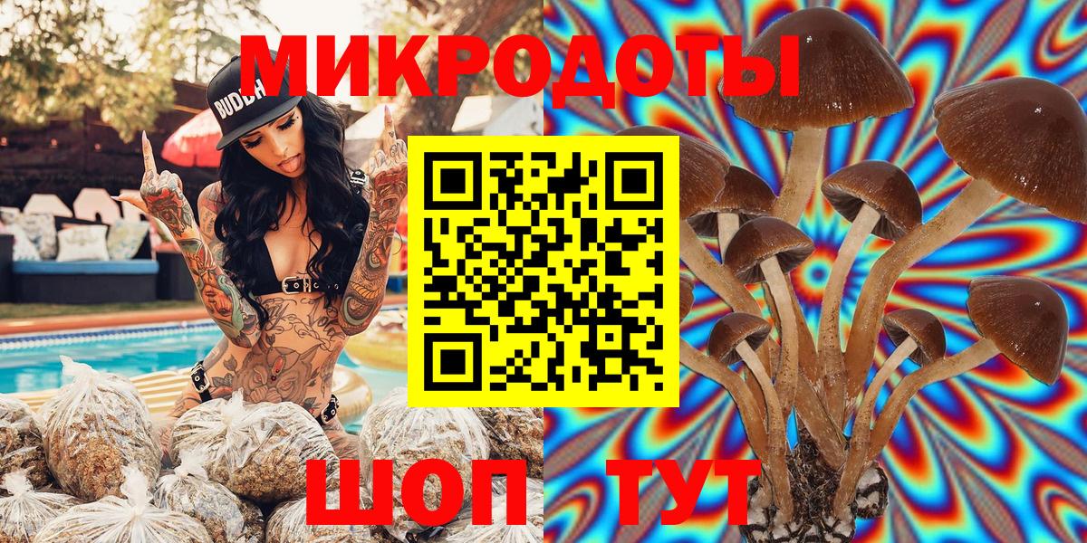 Псилоцибиновые грибы Cubensis Урус-Мартан