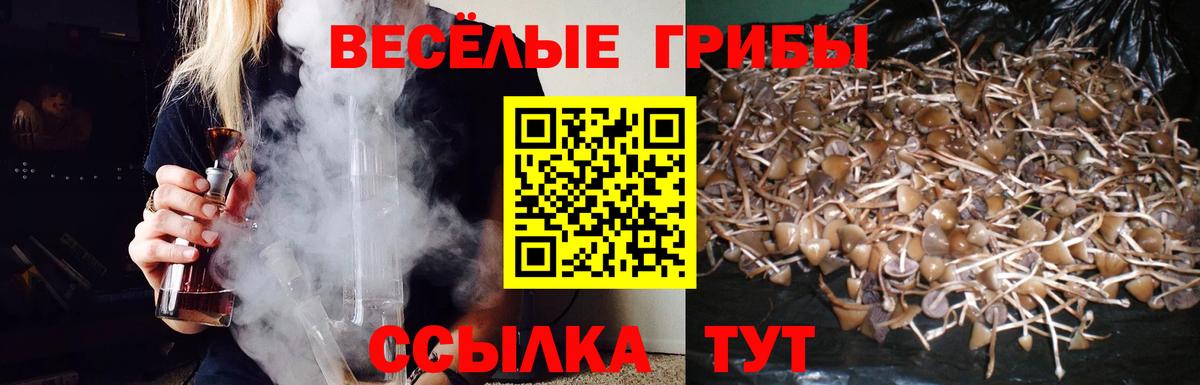 Урус-Мартан  Псилоцибиновые грибы GOLDEN TEACHER  Вход с VPN  Галлюциногенные грибы GOLDEN TEACHER 